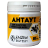 АнтАут