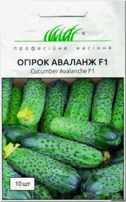 Аваланж F1 огірок 10 шт