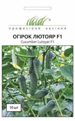 Лютояр F1 огірок 10 шт