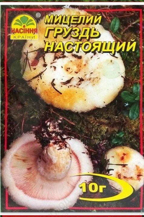 Міцелій груздь справжній