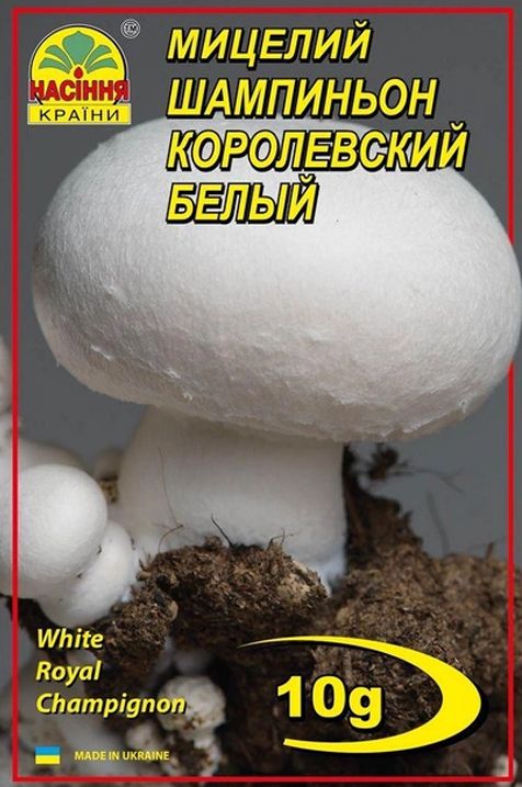 Міцелій печериця королівська біла