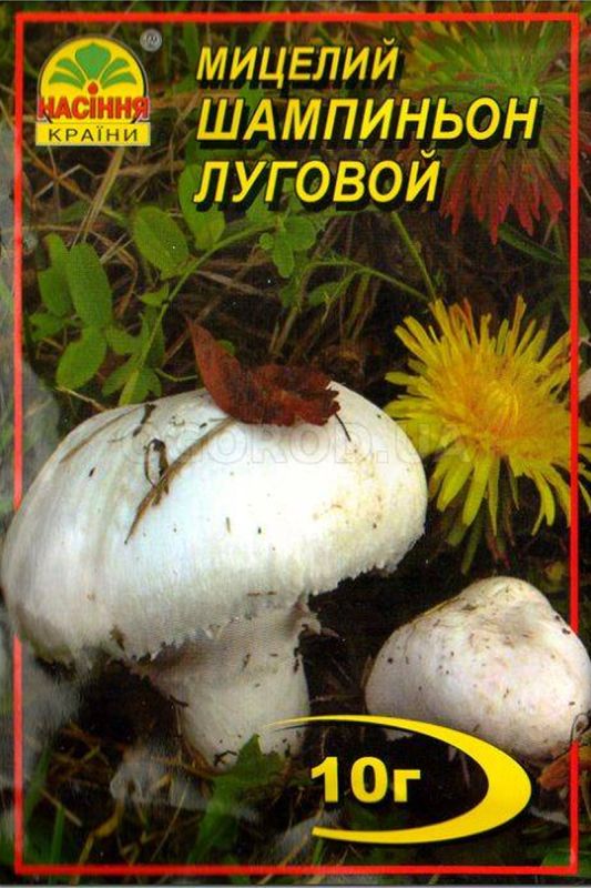 Міцелій печериця лугова