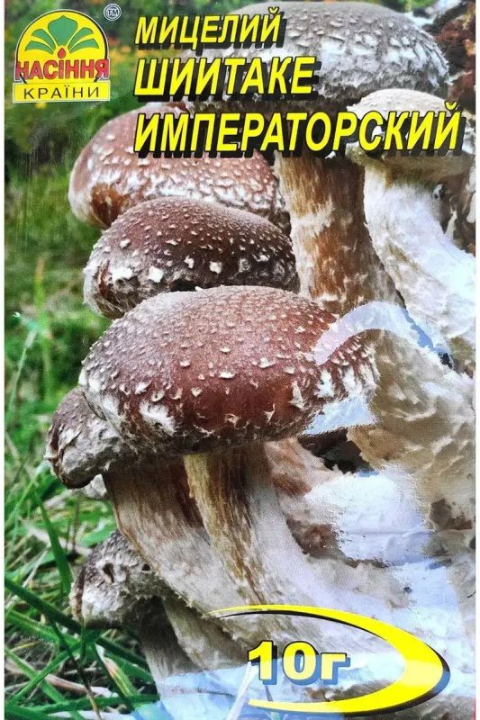 Міцелій шиітаке імператорський