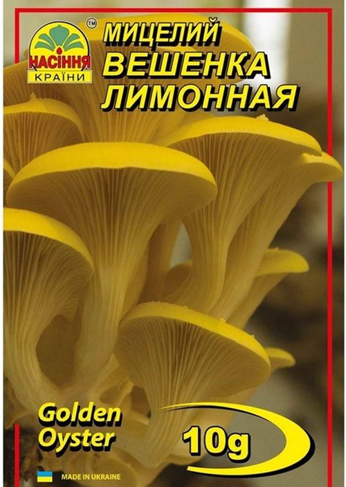 Міцелій глива лимонна