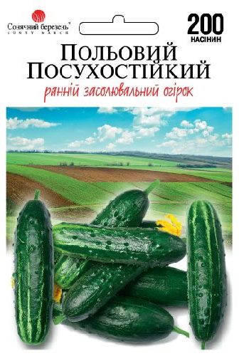 Польовий посухостійкий огірок 200 шт 