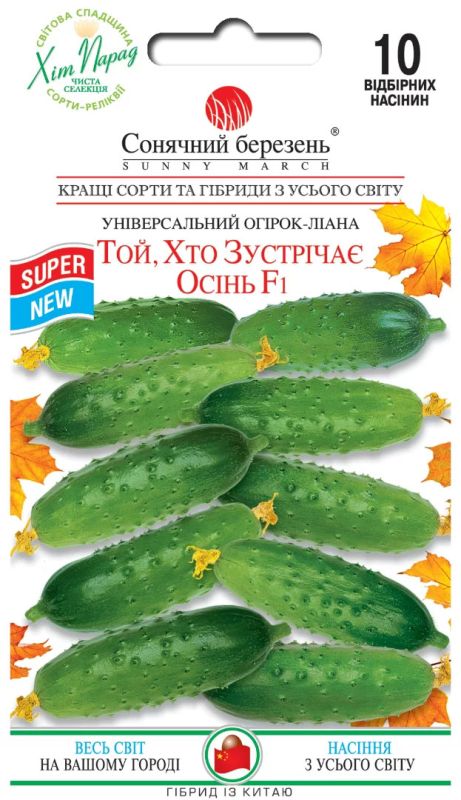 Зустрічаючий осінь огірок 10 шт